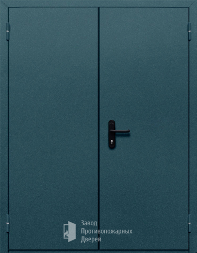 Фото двери «Двупольная глухая №37» в Ликино-Дулёво