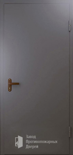 Фото двери «Техническая дверь №1 однопольная» в Ликино-Дулёво