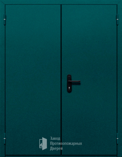 Фото двери «Двупольная глухая №36» в Ликино-Дулёво