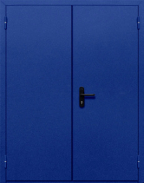 Фото двери «Двупольная глухая №33» в Ликино-Дулёво