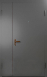 Фото двери «Техническая дверь №6 полуторная» в Ликино-Дулёво